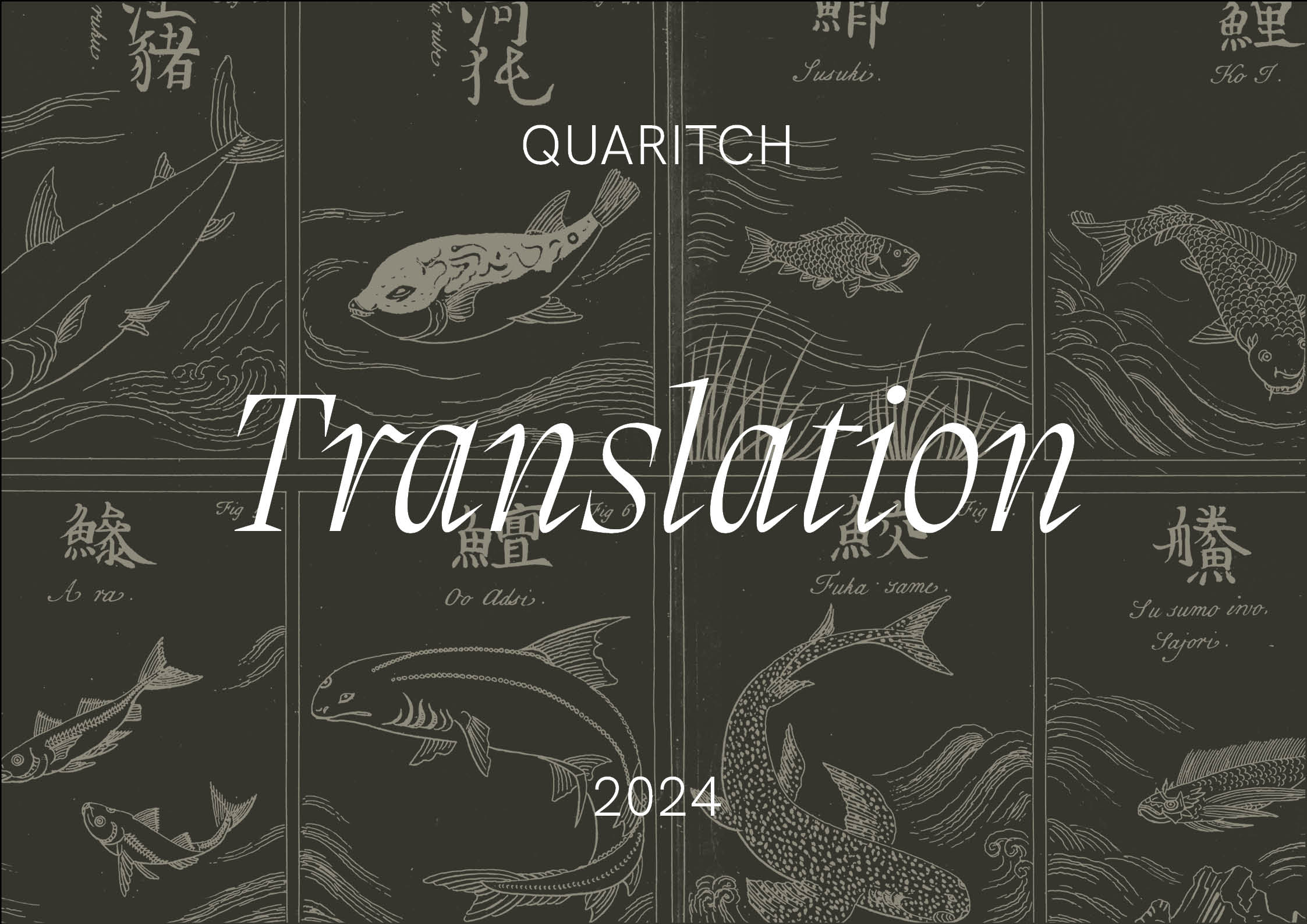 Translation 2024